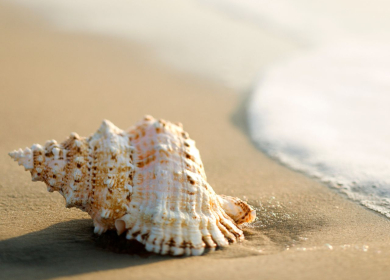 Bellezze e fragilità del mare di Laigueglia - 25 luglio