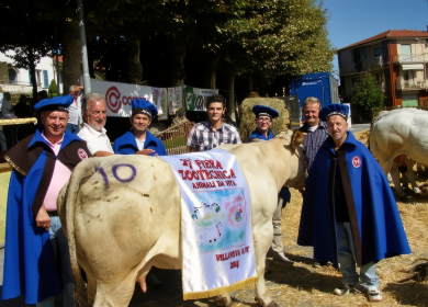 Laboratori del Gusto a Laigueglia: tradizioni, sapori e cultura del territorio
